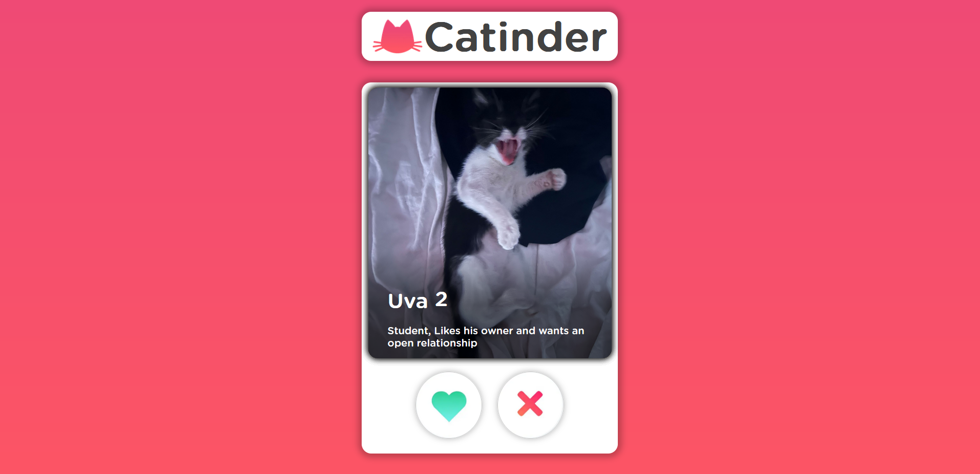 Catinder